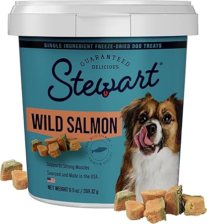 Stewart Wild Salmon Dog Treats, 9.5 oz Resealable Tub, Approx. 190 Pieces, Freeze Dried Raw 65% Protein, Single Ingredient, Training Treats or Meal Topper, Grain Free, Gluten Free