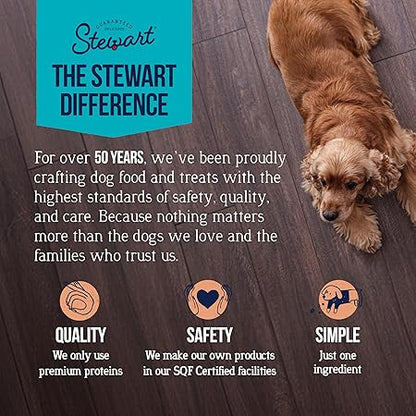 Stewart Wild Salmon Dog Treats, 9.5 oz Resealable Tub, Approx. 190 Pieces, Freeze Dried Raw 65% Protein, Single Ingredient, Training Treats or Meal Topper, Grain Free, Gluten Free