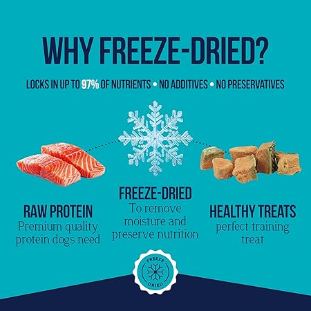 Stewart Wild Salmon Dog Treats, 9.5 oz Resealable Tub, Approx. 190 Pieces, Freeze Dried Raw 65% Protein, Single Ingredient, Training Treats or Meal Topper, Grain Free, Gluten Free