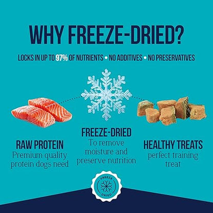 Stewart Wild Salmon Dog Treats, 9.5 oz Resealable Tub, Approx. 190 Pieces, Freeze Dried Raw 65% Protein, Single Ingredient, Training Treats or Meal Topper, Grain Free, Gluten Free