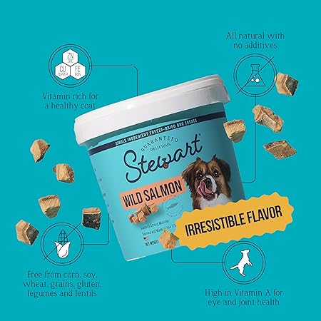 Stewart Wild Salmon Dog Treats, 9.5 oz Resealable Tub, Approx. 190 Pieces, Freeze Dried Raw 65% Protein, Single Ingredient, Training Treats or Meal Topper, Grain Free, Gluten Free