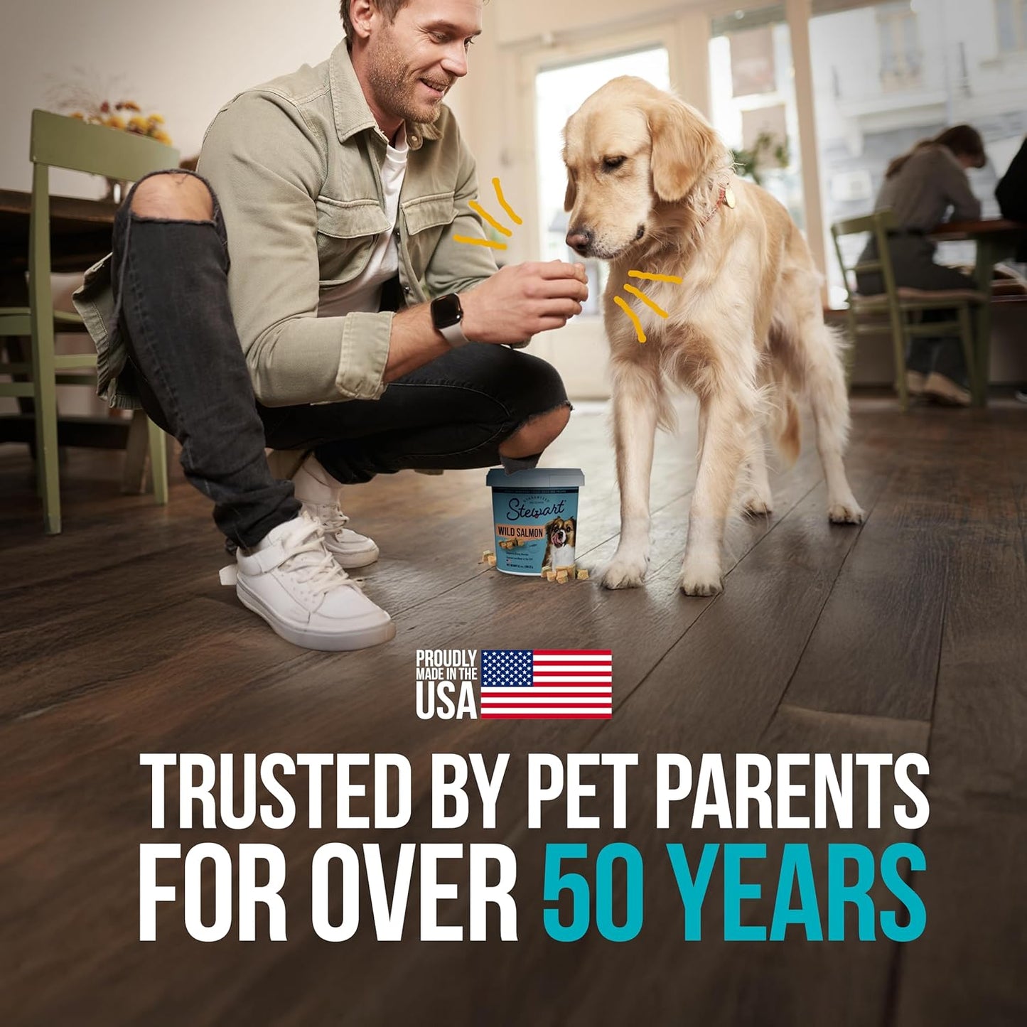 Stewart Wild Salmon Dog Treats, 9.5 oz Resealable Tub, Approx. 190 Pieces, Freeze Dried Raw 65% Protein, Single Ingredient, Training Treats or Meal Topper, Grain Free, Gluten Free