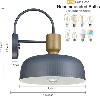 Outdoor Barn Light Gooseneck Barn Light, Farmhouse Exterior Wall Mount Light Vintage Wall Lighting Fixture Industrial Sconce Lantern for Porch, Entryway, Garage, Blue, 1 Pack