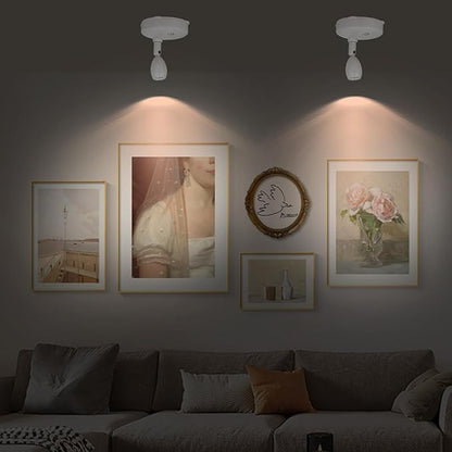 Cordless Spotlight Battery Operated, RGB Indoor Plant Light, Dimmable Accent Uplight with Remote, Color Changing Display Lighting for Picture Tree Photo Dartboard Painting Art