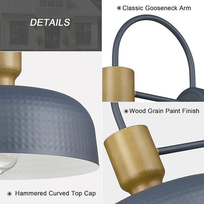 Outdoor Barn Light Gooseneck Barn Light, Farmhouse Exterior Wall Mount Light Vintage Wall Lighting Fixture Industrial Sconce Lantern for Porch, Entryway, Garage, Blue, 1 Pack