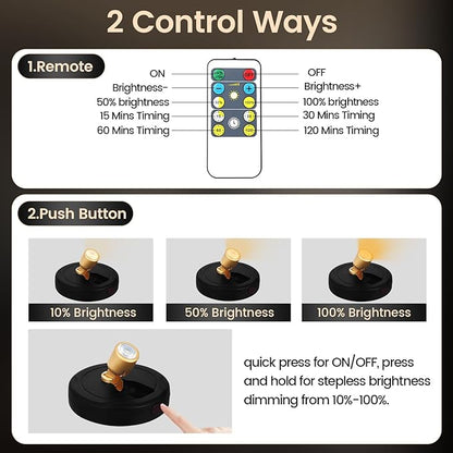 Rechargeable Spotlight, Battery Powered Picture Lights with Remote, Dimmable Plant Spot Light Indoor, Cordless Accent Lighting, LED Uplight for Tree Dartboard Decor Painting Artwork Photo