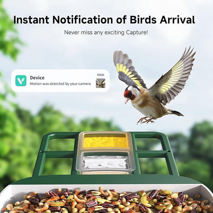 Bird Feeder with Camera AI Identify 2K Live Video Smart Bird Feeder with Camera, 2.4GHZ WiFi Solar Birds House Cameras, Motion Detection Instant Arrival Alerts, Ideal Present for Birds Lovers