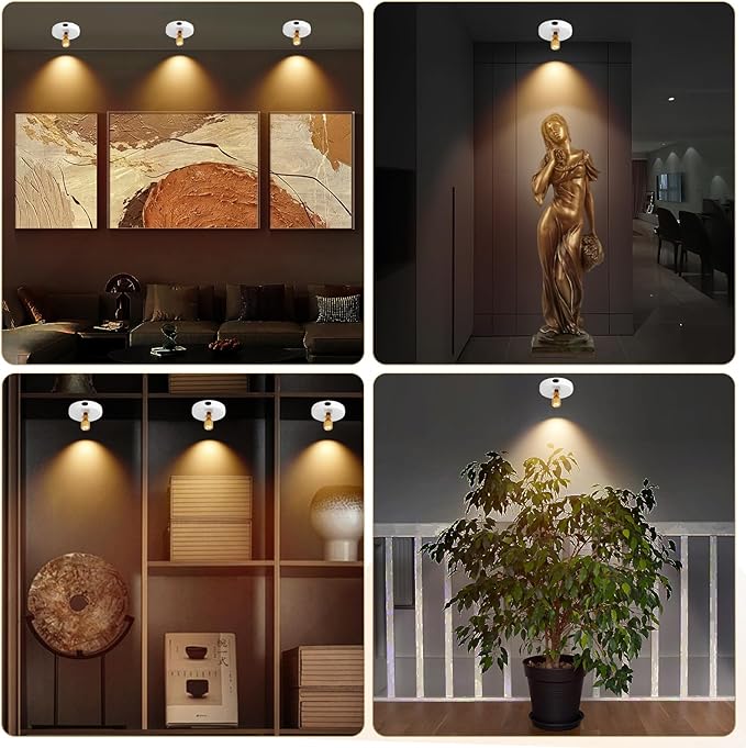 Rechargeable Spotlight, Battery Operated Picture Lights with Remote, Cordless Plant Spot Light Indoor, LED Accent Lighting, Dimmable Uplight for Tree Painting Artwork Photo Dartboard Decor