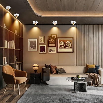 Rechargeable Spotlight, Battery Operated Picture Lights with Remote, Cordless Plant Spot Light Indoor, LED Accent Lighting, Dimmable Uplight for Tree Painting Artwork Photo Dartboard Decor