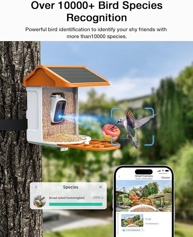 Smart AI Bird Feeder with Camera: Solar-Powered, 2K Live Video, Bird‘s Species Identification, Arrival Alerts, and Motion Capture –Wireless Bird Camera for Watching Birds (Orange)