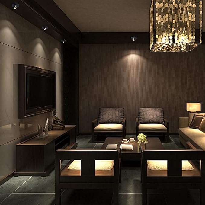 Spotlight Battery Operated, Wireless LED Puck Light, Dimmable Accent Spot Light for Plant Tree Indoor, Stick Uplighting for Display Photo Dartboard Painting Artwork Gallery Portrait, 2 Pack