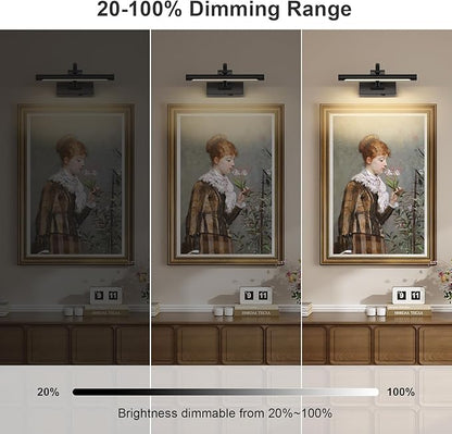 Battery Operated Picture Lights for Wall Black Art Light Wireless Gallery Lights with Timer and Remote 12 Inch 2W Warm White