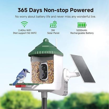 Bird Feeder with Camera AI Identify 2K Live Video Smart Bird Feeder with Camera, 2.4GHZ WiFi Solar Birds House Cameras, Motion Detection Instant Arrival Alerts, Ideal Present for Birds Lovers