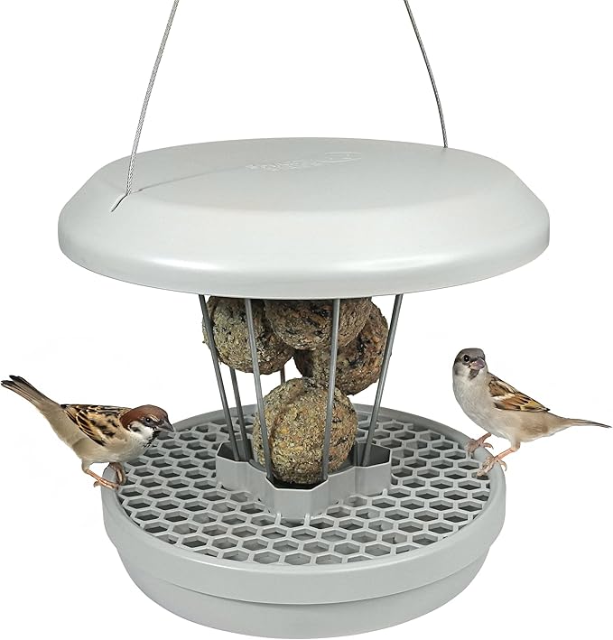 SWISSINNO No Mess Bird Feeder Lucerne Smart Birds for Fat Balls - Feed Birds, not mice & Rats! Robust & Reliable for Hanging - Light Grey