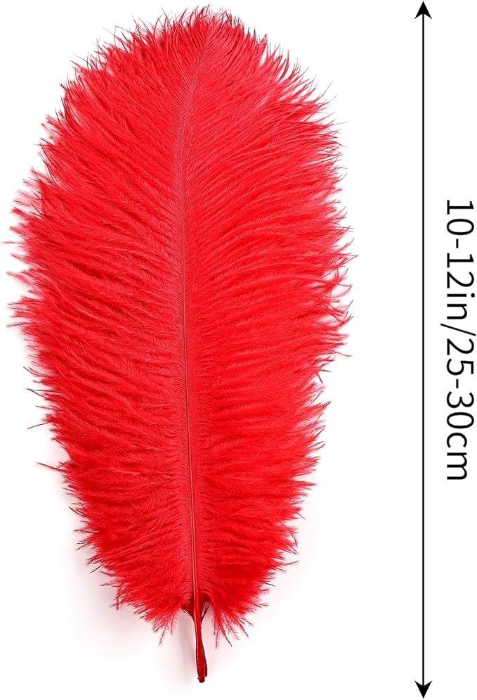 THARAHT Red Ostrich Feathers 24pcs Natural Bulk 10-12Inch 25cm-30cm for Crafts Wedding Party Centerpieces Halloween and Home Decoration Feathers