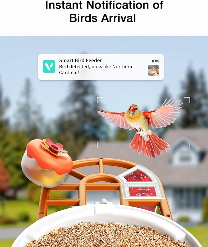 Smart AI Bird Feeder with Camera: Solar-Powered, 2K Live Video, Bird‘s Species Identification, Arrival Alerts, and Motion Capture –Wireless Bird Camera for Watching Birds (Orange)