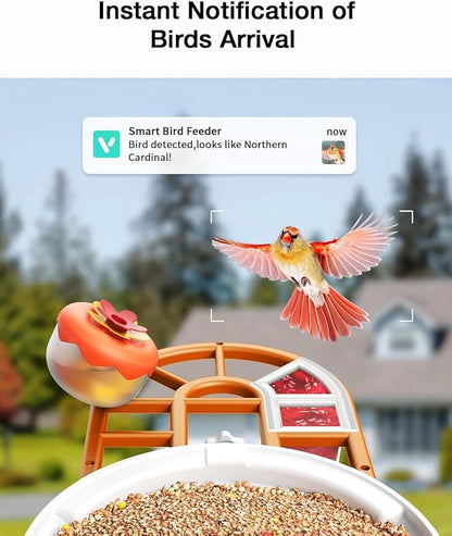 Smart AI Bird Feeder with Camera: Solar-Powered, 2K Live Video, Bird‘s Species Identification, Arrival Alerts, and Motion Capture –Wireless Bird Camera for Watching Birds (Orange)