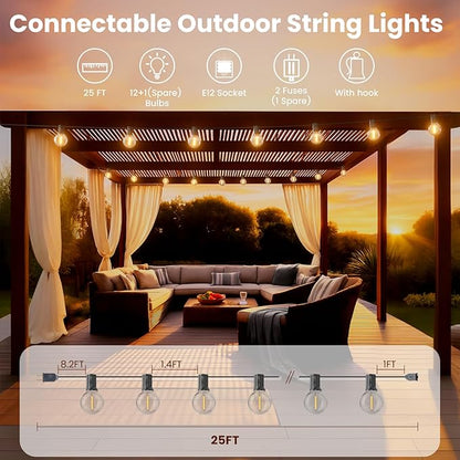 RTTY Outdoor String Lights 25 FT, G40 Led Patio Globe Lights with 13pcs Bulbs,Waterproof Shatterproof Dimmable Connectable Hanging for Cafe Bistro Backyard Gazebo Balcony Deck Party