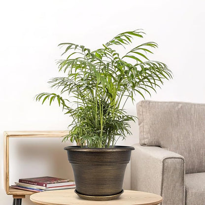 Plant Planters Pots Set of 4 Pack 10 Inch, Plastic Flower Pot for Indoor Plants with Drainage Holes & Trays, Resin Decorative Container Sets with Saucer for House Outdoor Garden Planters Dark Gold