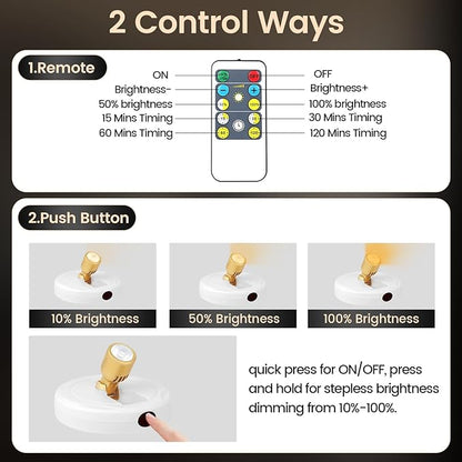 Rechargeable Spotlight, Battery Operated Picture Lights with Remote, Cordless Plant Spot Light Indoor, LED Accent Lighting, Dimmable Uplight for Tree Painting Artwork Photo Dartboard Decor