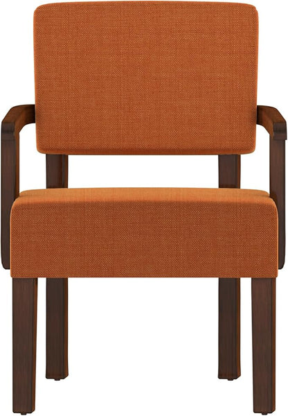 Accent Chair, Living Room Chairs Oversized with Soft Seat and Armrests for Dinning, Bedroom, Reading and Waiting Rooms