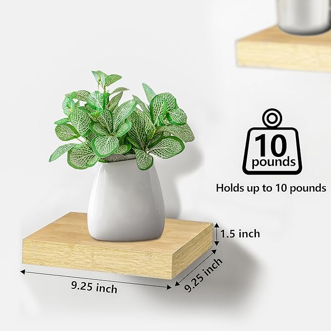 Sorbus Square Floating Shelf for Wall - 4 Small Shelves with Invisible Mounting Brackets for Living Room Decor, Bedroom, Bathroom Decor, Home & Kitchen - 9" Wall Shelf to Display Photos Trophies