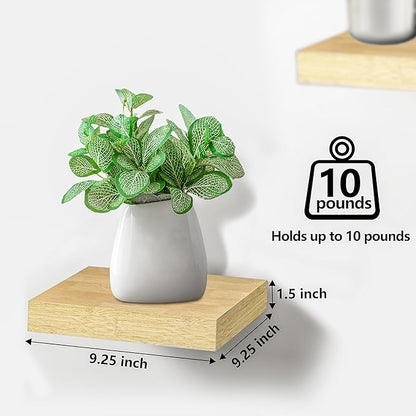 Sorbus Square Floating Shelf for Wall - 4 Small Shelves with Invisible Mounting Brackets for Living Room Decor, Bedroom, Bathroom Decor, Home & Kitchen - 9" Wall Shelf to Display Photos Trophies