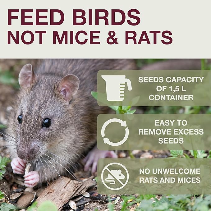 SWISSINNO No Mess Bird Feeder Lucerne Smart Birds for Fat Balls - Feed Birds, not mice & Rats! Robust & Reliable for Hanging - Light Grey