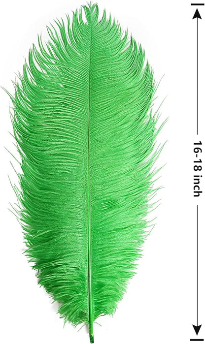 THARAHT Green Ostrich Feathers 12pcs Large Natural Bulk 16-18Inch 40cm-45cm for Wedding Party Centerpieces Mardi Gras and Home Decoration Feathers