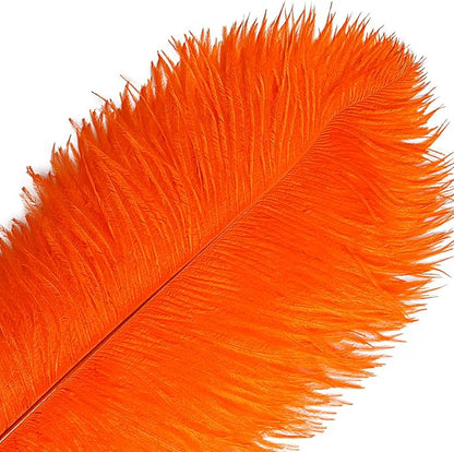 THARAHT Orange Ostrich Feathers 12pcs Large Natural Bulk 12-14Inch 30cm-35cm for Wedding Party Centerpieces Halloween and Home Decoration Feathers