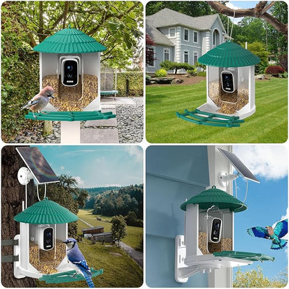 Bird Feeders for Outdoors, Smart Bird Feeder with Camera Solar Powered, AI Species Identification, 3K Video Live Stream Camera, 5Mp HD Night Vision, Instant Arrival Alerts