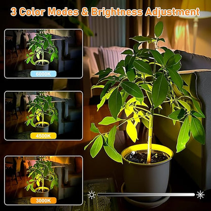 4 Pack Wireless LED Spotlights Indoor, Plant Battery Operated Tree Lights, Uplighting Picture Light with Remote, Accent Lights for Display Artwork Dartboard