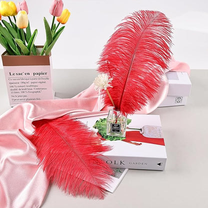 THARAHT 24pcs Red Ostrich Feathers Natural Bulk 8-10Inch 20cm-25cm for Wedding Party Centerpieces Easter Gatsby and Home Decorate Ostrich Feathers