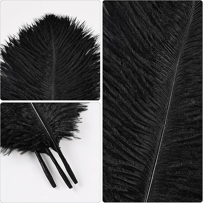 THARAHT Black Ostrich Feathers 12pcs Natural Bulk 8-10Inch 20cm-25cm for Crafts Wedding Party Centerpieces Halloween and Home Decoration Feathers
