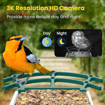 Bird Feeders for Outdoors, Smart Bird Feeder with Camera Solar Powered, AI Species Identification, 3K Video Live Stream Camera, 5Mp HD Night Vision, Instant Arrival Alerts (Light Green)