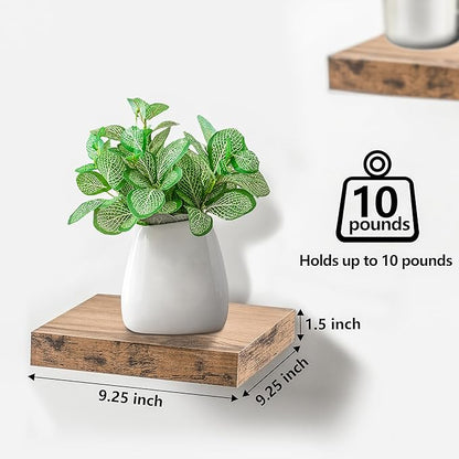 Sorbus Square Floating Shelf for Wall - 4 Small Shelves with Invisible Mounting Brackets for Living Room Decor, Bedroom, Bathroom Decor, Home & Kitchen - 9" Wall Shelf to Display Photos Trophies