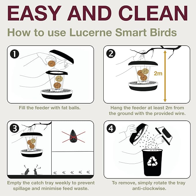 SWISSINNO No Mess Bird Feeder Lucerne Smart Birds for Fat Balls - Feed Birds, not mice & Rats! Robust & Reliable for Hanging - Light Grey