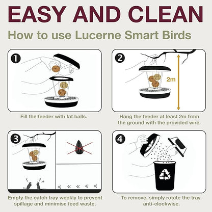 SWISSINNO No Mess Bird Feeder Lucerne Smart Birds for Fat Balls - Feed Birds, not mice & Rats! Robust & Reliable for Hanging - Light Grey