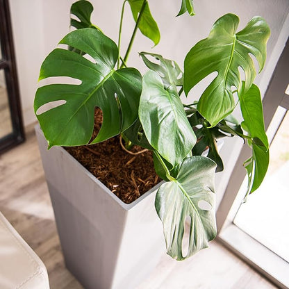 XBrand Modern 30-Inch Tall Square Planter, Tapered, Perfect for Indoor & Outdoor, Patio Decor, Set of 2, Gray