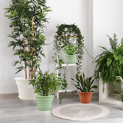 6 Inch Plastic-Flower Pot-for-Indoor Plants, 6 Pack Outdoor Plant Pots with Drainage Holes & Saucers, Resin Garden Pots Planters