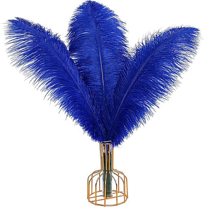 THARAHT Blue Ostrich Feathers 12pcs Large Natural Bulk 16-18Inch 40cm-45cm for Wedding Party Centerpieces Halloween and Home Decoration Feathers
