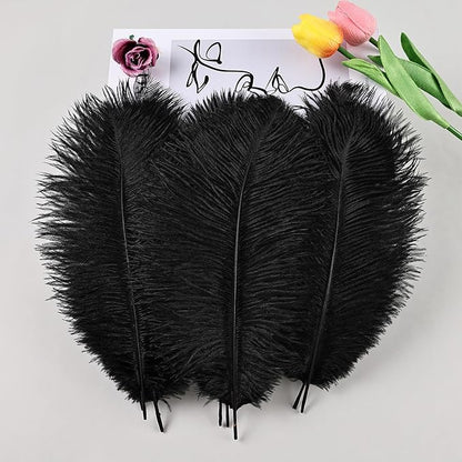 THARAHT Black Ostrich Feathers 12pcs Natural Bulk 8-10Inch 20cm-25cm for Crafts Wedding Party Centerpieces Halloween and Home Decoration Feathers
