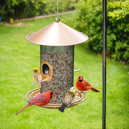 Bird Feeder for Outdoor, Metal Wild Bird Feeder Hanging Outside, 7.5" Copper Roof and 360 Degree Feeding Tray with 2 Extra Feeding Ports, 3 Lbs Bird Seeds Capacity