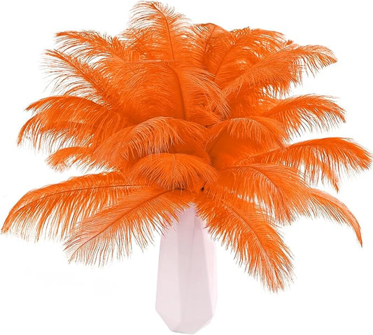 THARAHT Orange Ostrich Feathers 24pcs Natural Bulk 10-12Inch 25cm-30cm for Crafts Wedding Party Centerpieces Halloween and Home Decoration Feathers