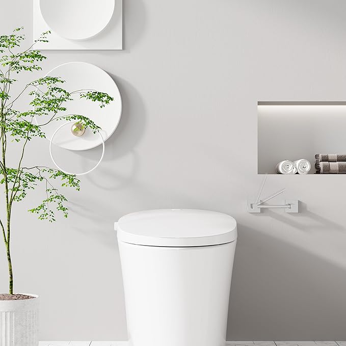 Ruacq Toilet Paper Holder Chrome 2 Pack Double Post Pivoting Square Tissue Holders Roll Holder Hangers Toilet Paper Stand Stainless Steel and Zinc Alloy Modern Wall Mounted