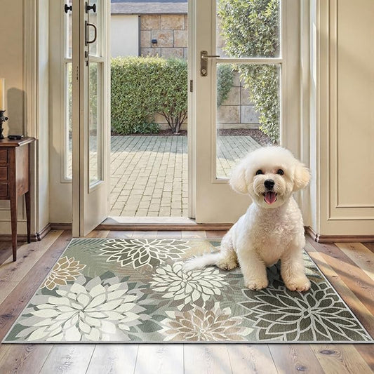 Area Rug 2x3 Brown White Washable Entry Small Rug Multicolored Tropical Botanical Modern Floral Indoor Kitchen Door Mat Entrance Carpet Non Slip for Bedroom Living Room, Porch