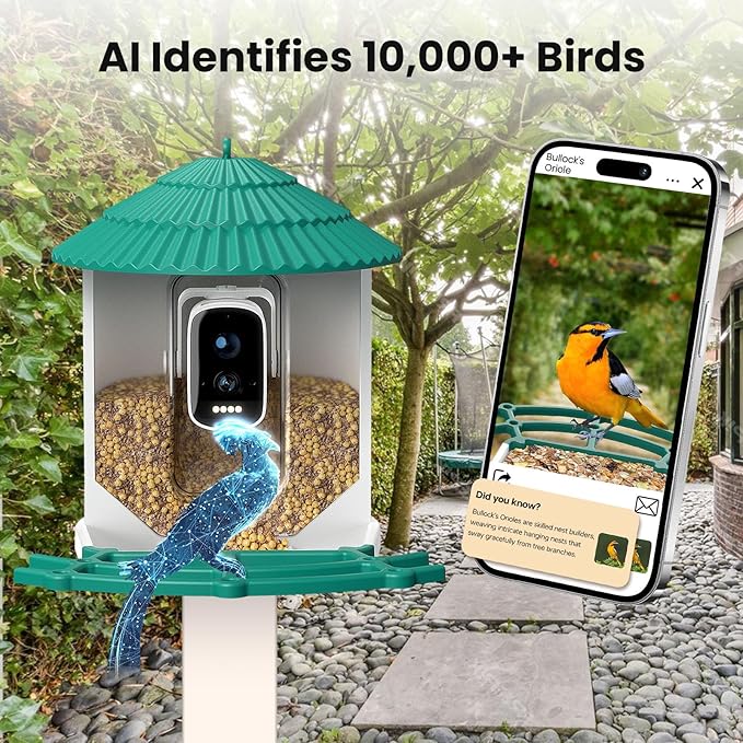 Bird Feeders for Outdoors, Smart Bird Feeder with Camera Solar Powered, AI Species Identification, 3K Video Live Stream Camera, 5Mp HD Night Vision, Instant Arrival Alerts (Light Green)