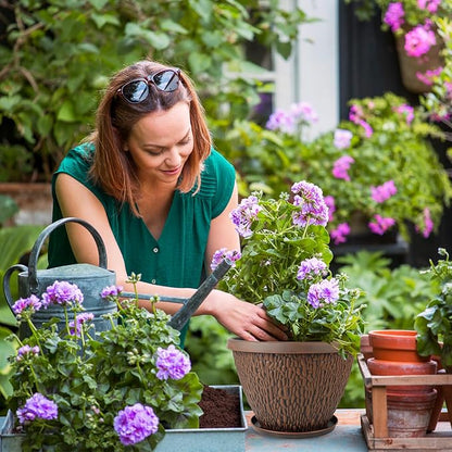 4 Pack 10 Inch Plant Pot, Flower Pots Outdoor with Drainage Hole & Tray, Thickened Plastic Planters for Indoor Outdoor Plants, Lightweight Modern Decorative Garden Pot with Saucer