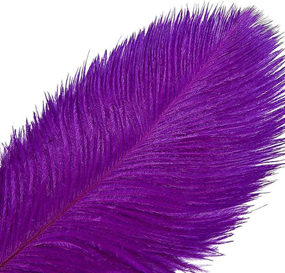 THARAHT Purple Ostrich Feathers 12pcs Large Natural Bulk 12-14Inch 30cm-35cm for Wedding Party Centerpieces Halloween and Decoration Feather