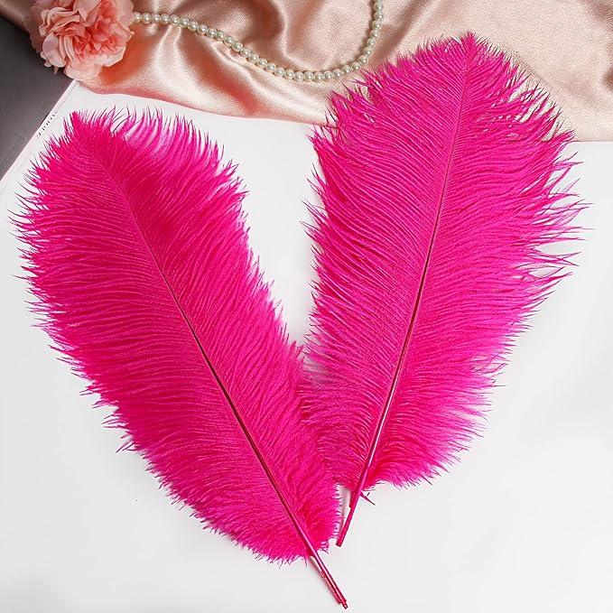 THARAHT Hot Pink Ostrich Feathers 12pcs Large Natural Bulk 20-22Inch 50cm-55cm for Wedding Party Centerpieces Easter Gatsbi and Home Decoration Feathers